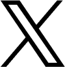 icon of x